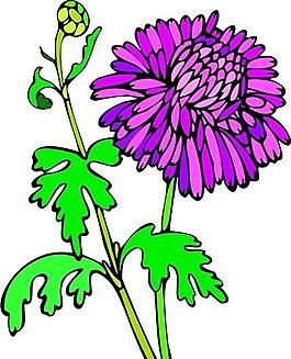 花朵 花草 鮮花 矢量 EPS格式_0096