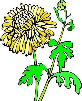 花朵 花草 鮮花 矢量 EPS格式_0095
