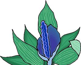 花朵 花草 鮮花 矢量 EPS格式_0059