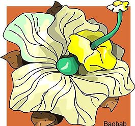 花朵 花草 鮮花 矢量 EPS格式_0023