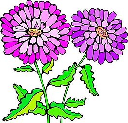 花朵 花草 鮮花 矢量 EPS格式_0018
