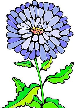 花朵 花草 鮮花 矢量 EPS格式_0014