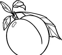 蘋果 水果 矢量素材 EPS格式_0064