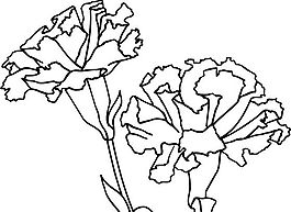 鮮花 花卉 矢量素材 eps格式_0071
