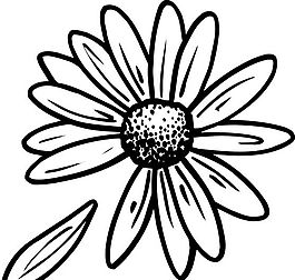 鮮花 花卉 矢量素材 eps格式_0021