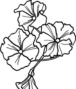 鮮花 花卉 矢量素材 eps格式_0015