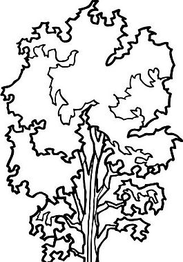 樹木 矢量素材 eps格式_0090