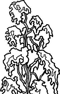 樹木 矢量素材 eps格式_0082