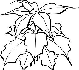 樹葉 葉子 矢量素材 eps格式_0006