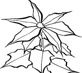 樹葉 葉子 矢量素材 eps格式_0005