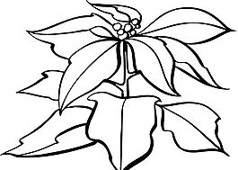 樹葉 葉子 矢量素材 eps格式_0004