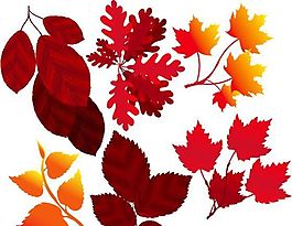 紅色樹葉矢量上蔟