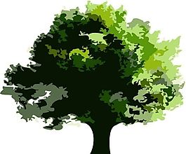 大樹 樹木矢量素材 ai格式_20