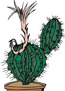 沙漠植物 矢量植物 矢量 EPS_0005