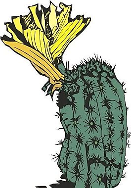 沙漠植物 矢量植物 矢量 EPS_0003