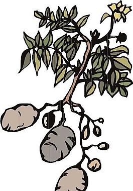 花草 矢量植物 矢量 EPS_0076
