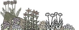 花卉 植物 矢量素材 EPS_1070