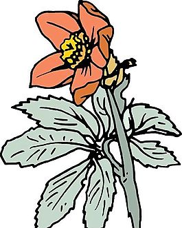 花卉 植物 矢量素材 EPS_1057