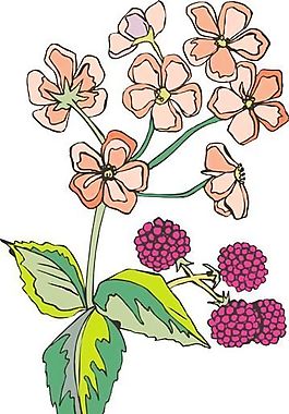 花卉 植物 矢量素材 EPS_1028