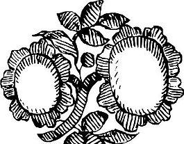 花卉 植物 矢量素材 EPS_0499