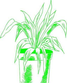 盆栽 植物 圖案 矢量 EPS_0150
