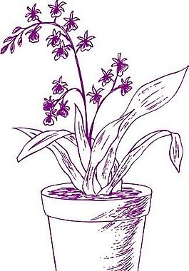 盆栽 植物 圖案 矢量 EPS_0145