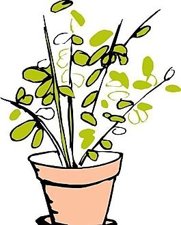 盆栽 植物 圖案 矢量 EPS_0117