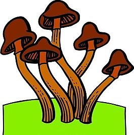 蘑菇 植物 矢量 EPS_0067