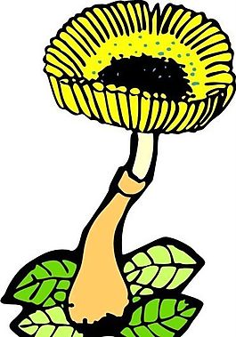 蘑菇 植物 圖案 矢量 AI_0017