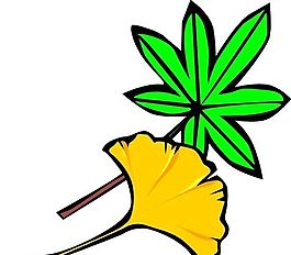 樹葉 植物 圖案 矢量 AI_0101