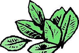 樹葉 植物 圖案 矢量 AI_0099