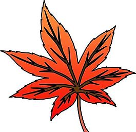 樹葉 植物 圖案 矢量 AI_0086