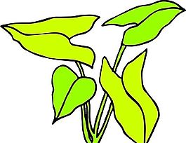 樹葉 植物 圖案 矢量 AI_0071