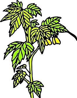 樹葉 植物 圖案 矢量 AI_0068