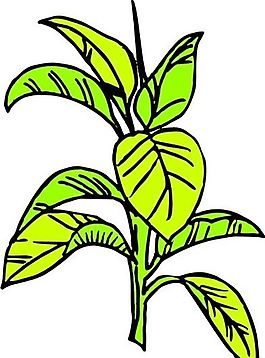 樹葉 植物 圖案 矢量 AI_0066