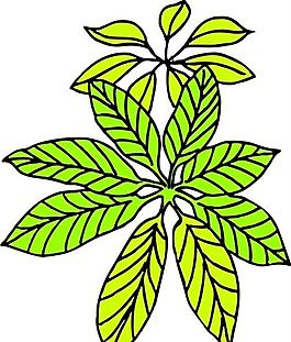 樹葉 植物 圖案 矢量 AI_0062