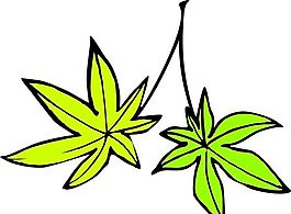 樹(shù)葉 植物 圖案 矢量 AI_0056