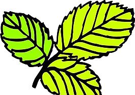 樹葉 植物 圖案 矢量 AI_0055