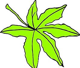 樹葉 植物 圖案 矢量 AI_0045