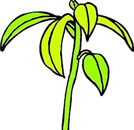 樹葉 植物 圖案 矢量 AI_0037