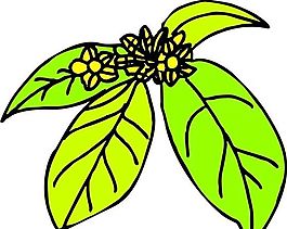 樹葉 植物 圖案 矢量 AI_0036