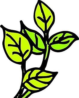 樹葉 植物 圖案 矢量 AI_0035