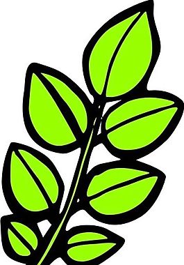 樹葉 植物 圖案 矢量 AI_0023
