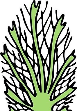 樹(shù)木 植物 圖案 矢量 AI_0043