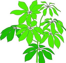 花草 植物 圖案 矢量 AI_0013