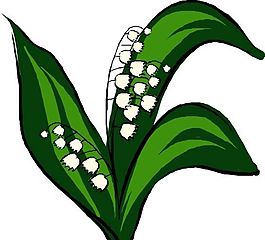 花草 植物 圖案 矢量 AI_0005
