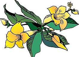 鮮花 植物 圖案 矢量 AI_0089