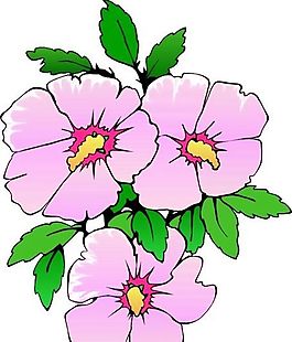 鮮花 植物 圖案 矢量 AI_0086