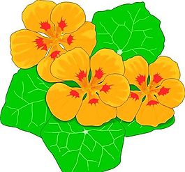 鮮花 植物 圖案 矢量 AI_0083