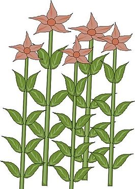 鮮花 植物 圖案 矢量 AI_0076